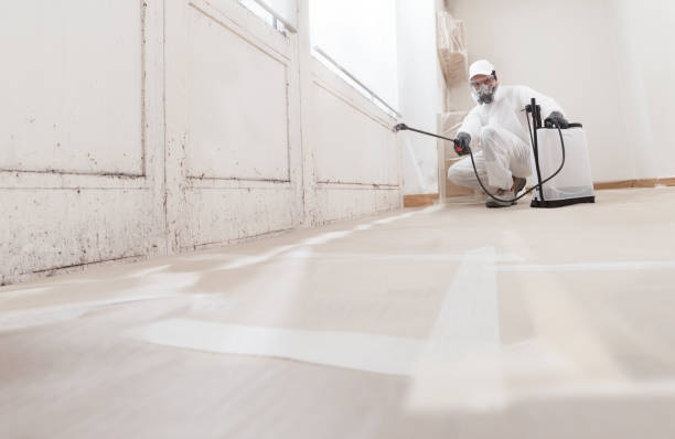 24/7 Emergency Commercial Mold Remediation experts in Ardmore, TN